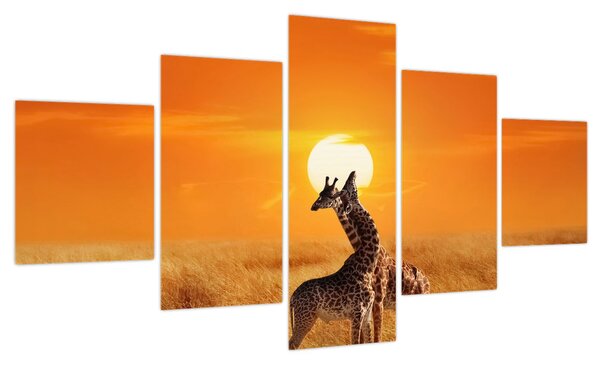 Obraz - Żyrafy w Parku Narodowym Serengeti (125x70 cm)