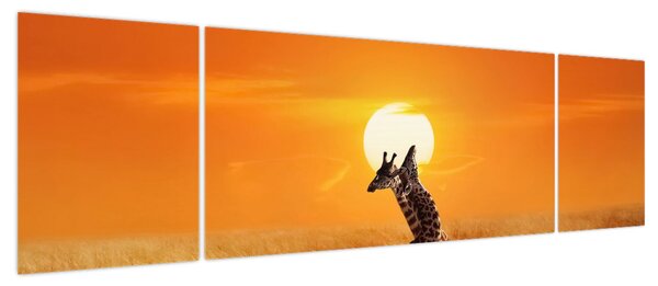 Obraz - Żyrafy w Parku Narodowym Serengeti (170x50 cm)