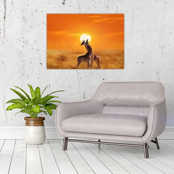 Obraz - Żyrafy w Parku Narodowym Serengeti (70x50 cm)