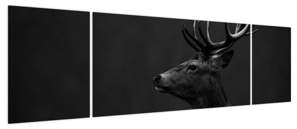 Obraz - Portret jelenia (170x50 cm)