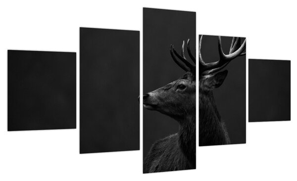 Obraz - Portret jelenia (125x70 cm)