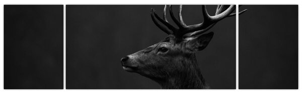 Obraz - Portret jelenia (170x50 cm)