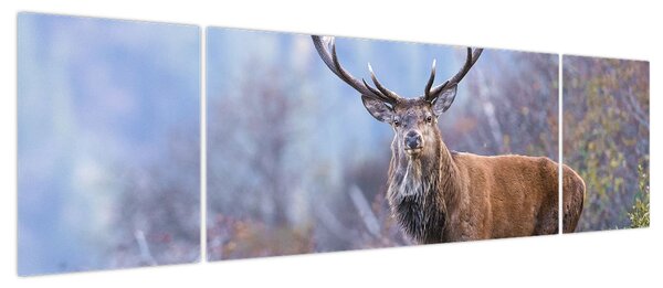 Obraz - Jeleń w krajobrazie (170x50 cm)