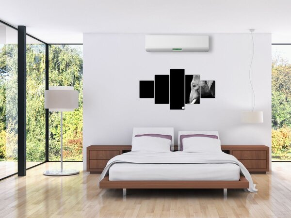 Obraz - Słoń (125x70 cm)
