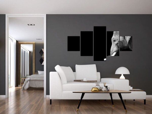 Obraz - Słoń (125x70 cm)