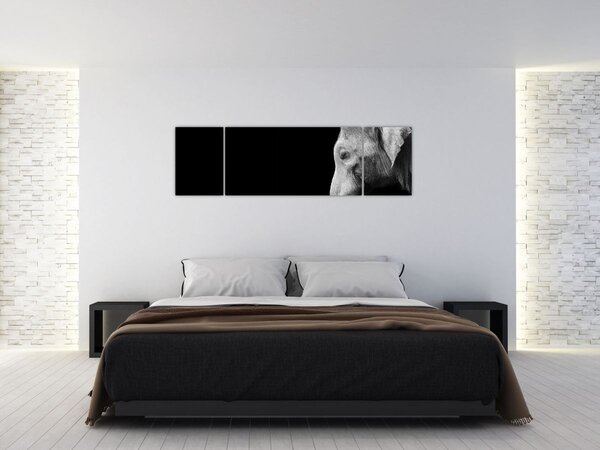 Obraz - Słoń (170x50 cm)
