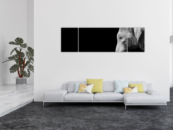 Obraz - Słoń (170x50 cm)