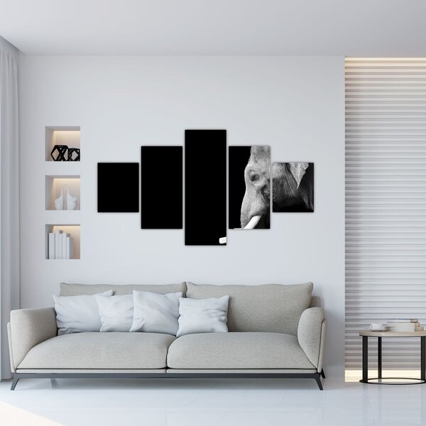 Obraz - Słoń (125x70 cm)