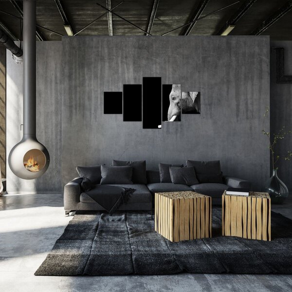 Obraz - Słoń (125x70 cm)