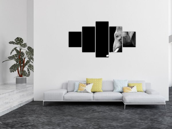 Obraz - Słoń (125x70 cm)
