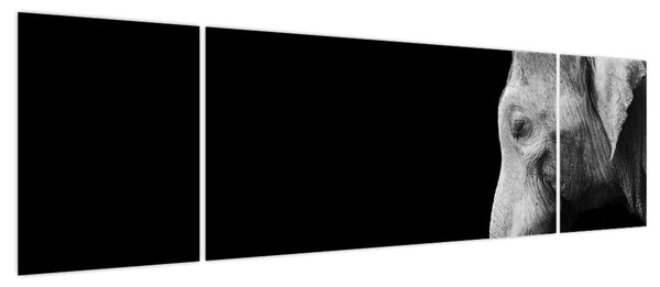 Obraz - Słoń (170x50 cm)