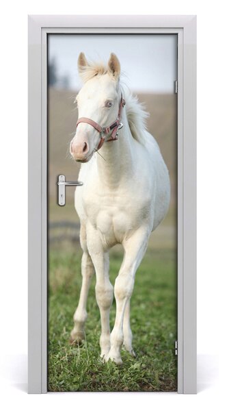 Naklejka samoprzylepna na drzwi Koń albinos