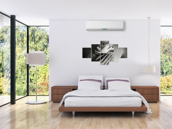 Obraz - Lotos w rękach Buddy (125x70 cm)