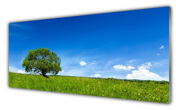 Obraz na Szkle Trawa Drzewo Natura