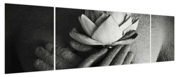 Obraz - Lotos w rękach Buddy (170x50 cm)