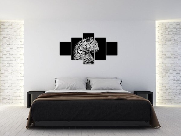 Obraz - Lampart (125x70 cm)