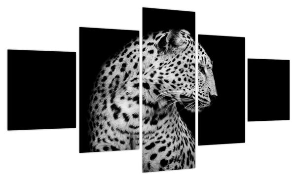 Obraz - Lampart (125x70 cm)