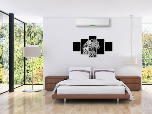 Obraz - Lampart (125x70 cm)