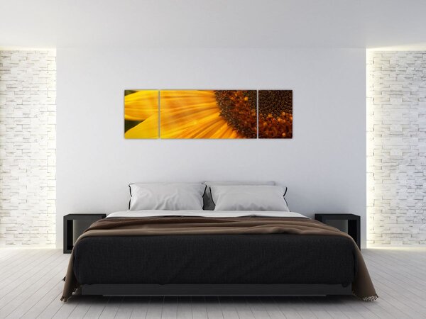 Obraz - Słoneczniki (170x50 cm)