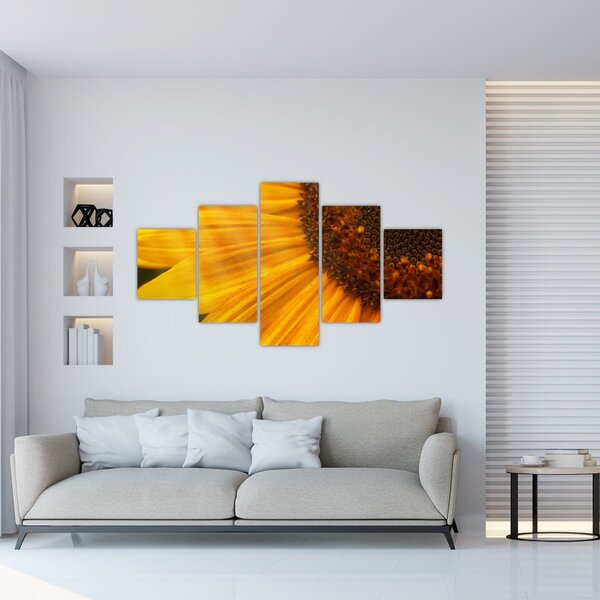 Obraz - Słoneczniki (125x70 cm)