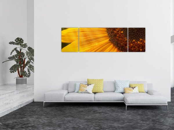 Obraz - Słoneczniki (170x50 cm)