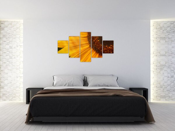 Obraz - Słoneczniki (125x70 cm)