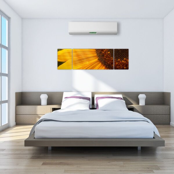 Obraz - Słoneczniki (170x50 cm)