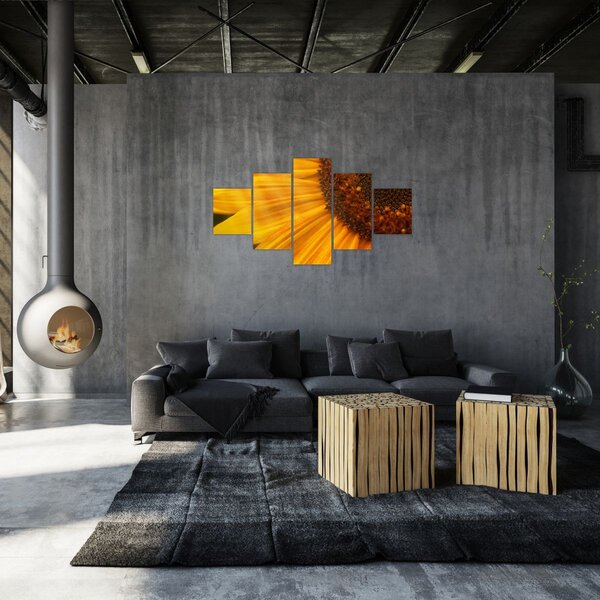 Obraz - Słoneczniki (125x70 cm)