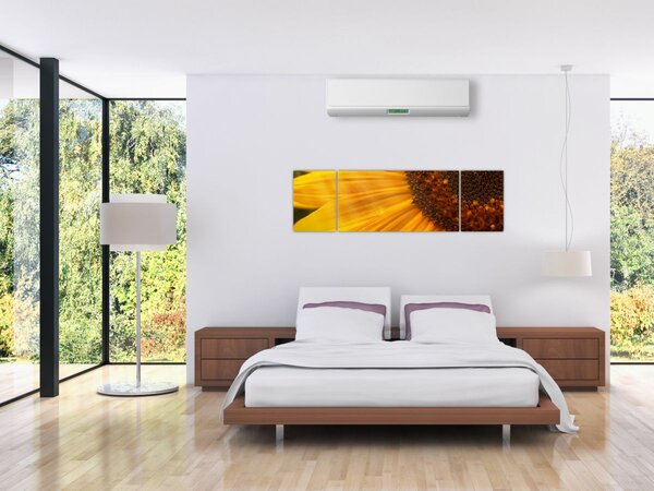 Obraz - Słoneczniki (170x50 cm)
