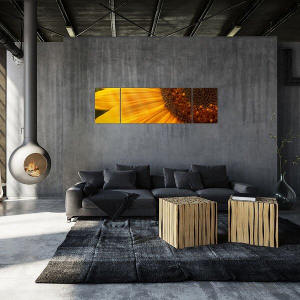 Obraz - Słoneczniki (170x50 cm)