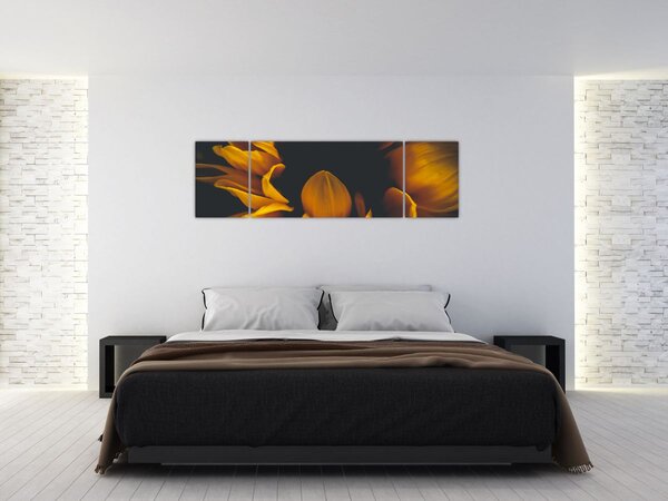 Obraz - Słoneczniki na czarnym tle (170x50 cm)