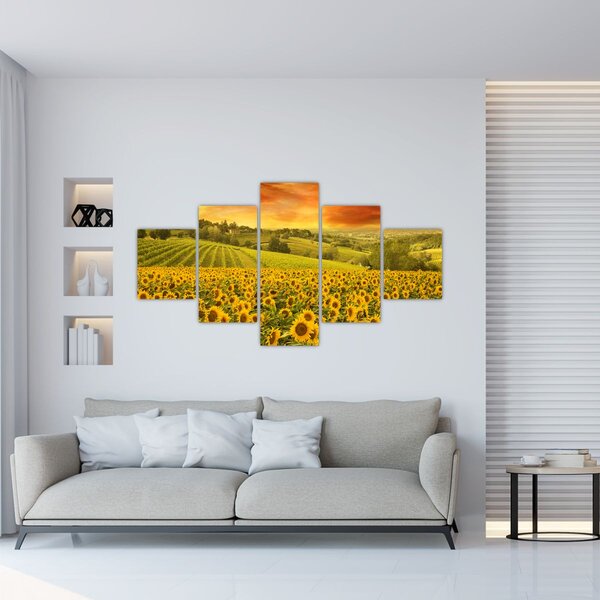 Obraz - Pole słoneczników (125x70 cm)