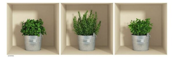 Zestaw 3 naklejek 3D Ambiance Herbs in Pot