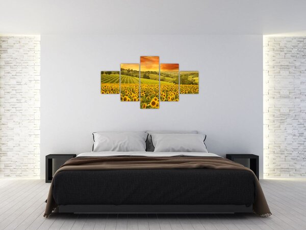 Obraz - Pole słoneczników (125x70 cm)