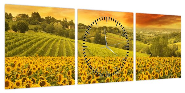 Obraz - Pole słoneczników (z zegarem) (90x30 cm)