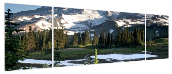 Obraz - Mount Rainier (170x50 cm)