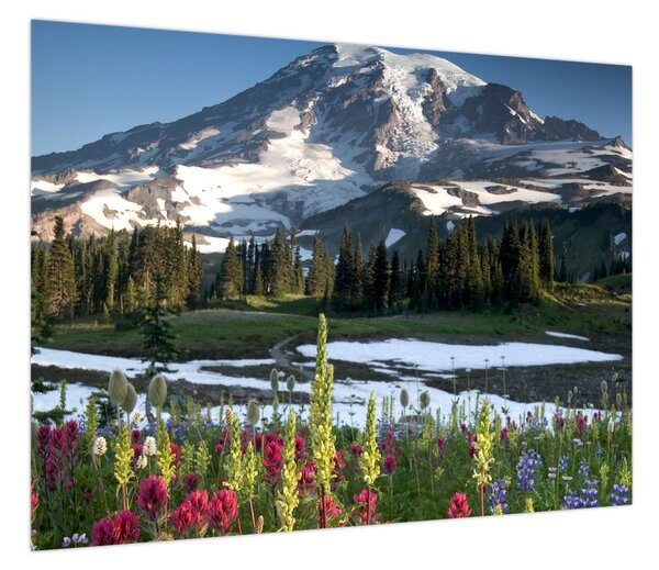 Obraz - Mount Rainier (70x50 cm)