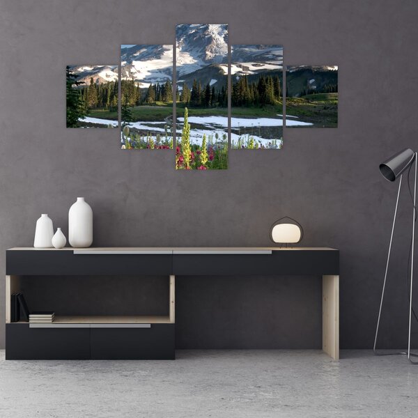 Obraz - Mount Rainier (125x70 cm)