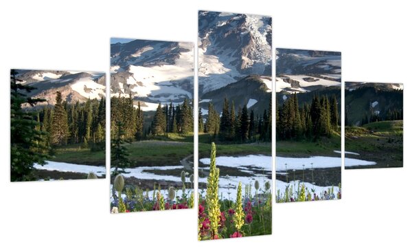 Obraz - Mount Rainier (125x70 cm)