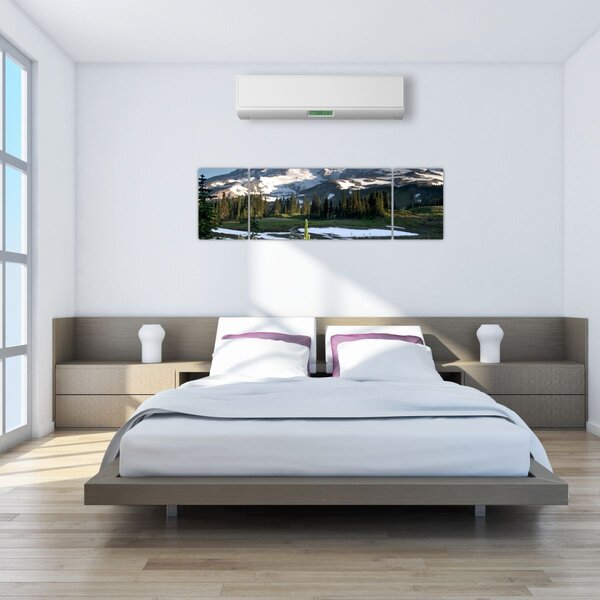 Obraz - Mount Rainier (170x50 cm)