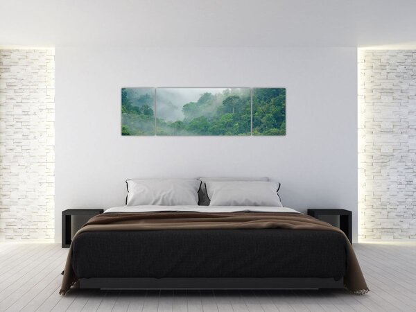 Obraz - Poranna mgła (170x50 cm)
