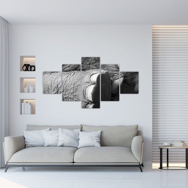 Obraz - Noga słonia (125x70 cm)