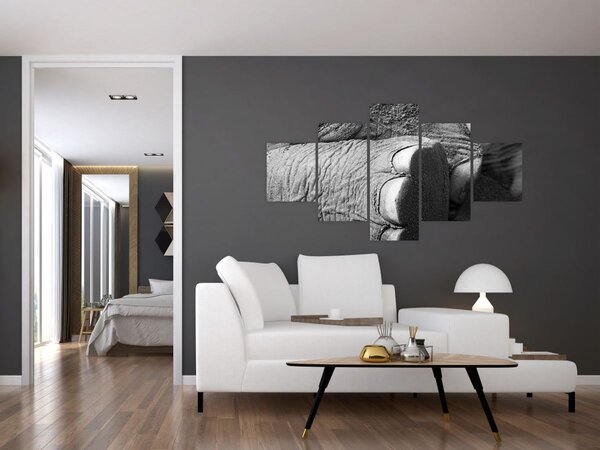 Obraz - Noga słonia (125x70 cm)