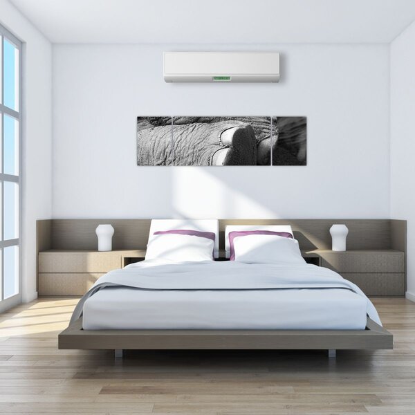 Obraz - Noga słonia (170x50 cm)