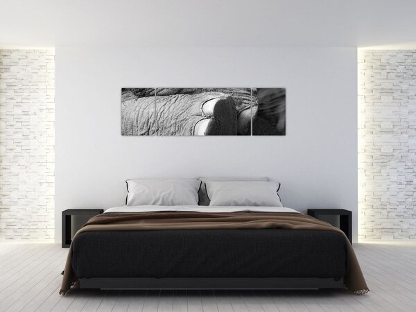 Obraz - Noga słonia (170x50 cm)