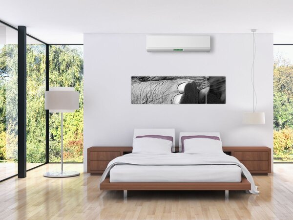 Obraz - Noga słonia (170x50 cm)