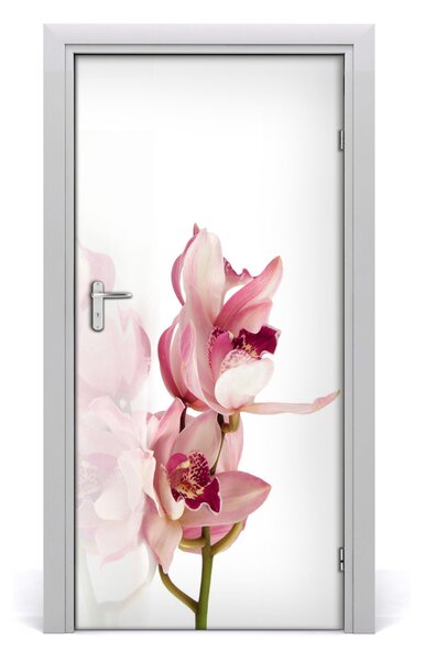 Okleina Naklejka fototapeta na drzwi Różowa orchidea