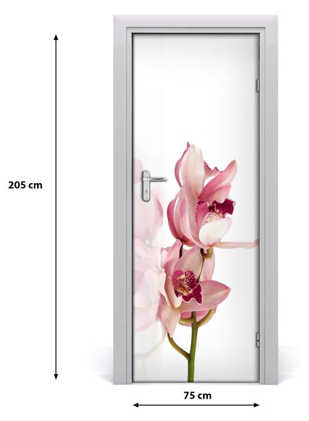 Okleina Naklejka fototapeta na drzwi Różowa orchidea