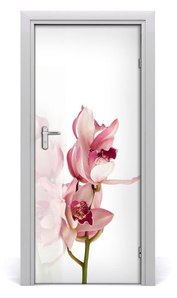 Okleina Naklejka fototapeta na drzwi Różowa orchidea