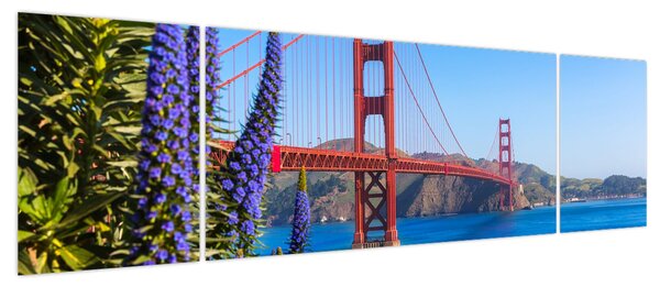Obraz - Most Golden Gate, San Francisco (170x50 cm)